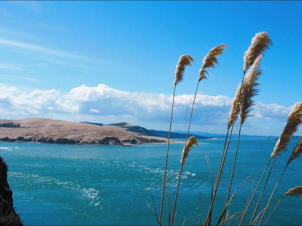 Christmas tour of Northland, New Zealand