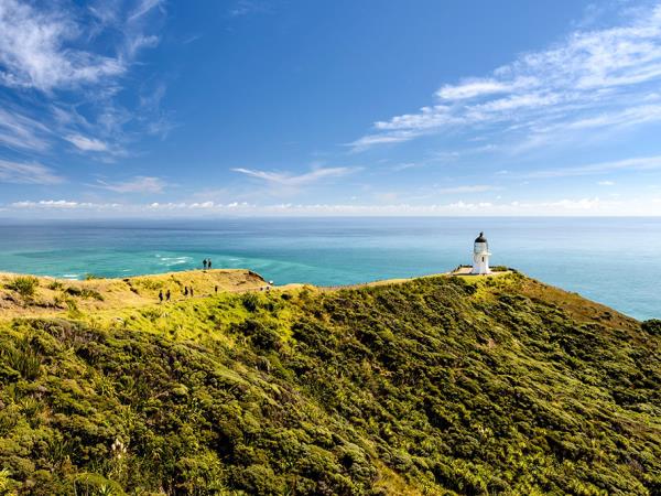 Christmas tour of Northland, New Zealand