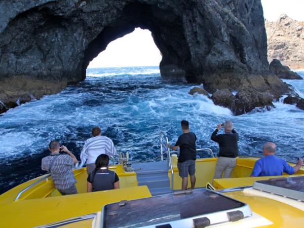 Christmas tour of Northland, New Zealand
