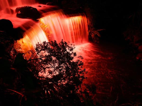 New Zealand Christmas tour in Taranaki region