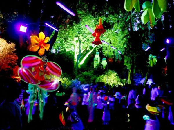 New Zealand Christmas tour in Taranaki region