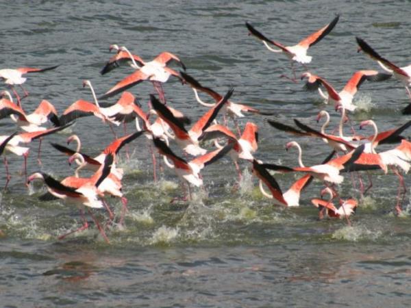 Tanzania trekking vacation, Rift Valley trail