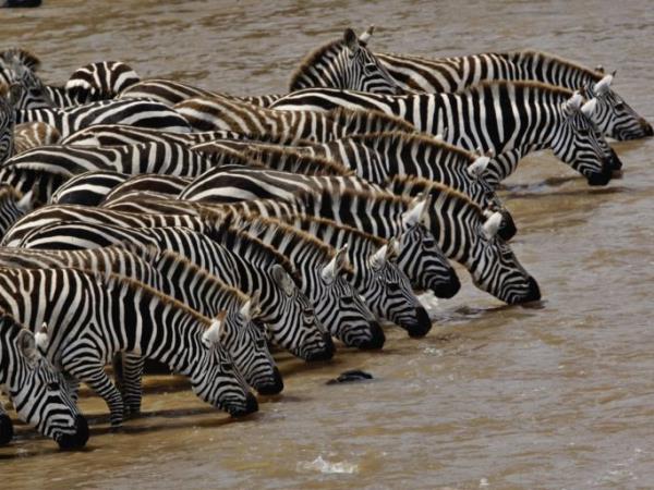 Tanzania trekking vacation, Rift Valley trail