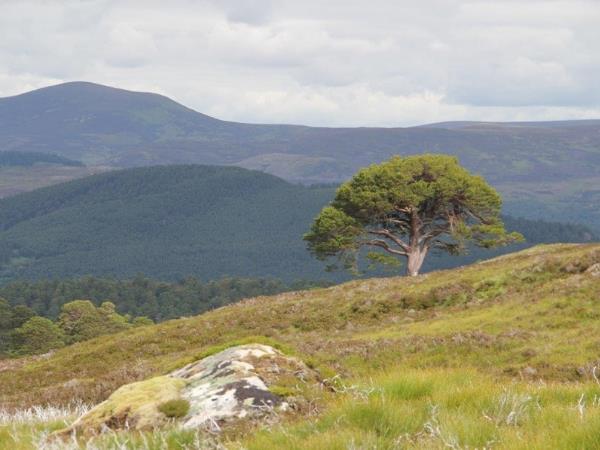 Short break hiking vacation in Scotland, Lairig Ghru