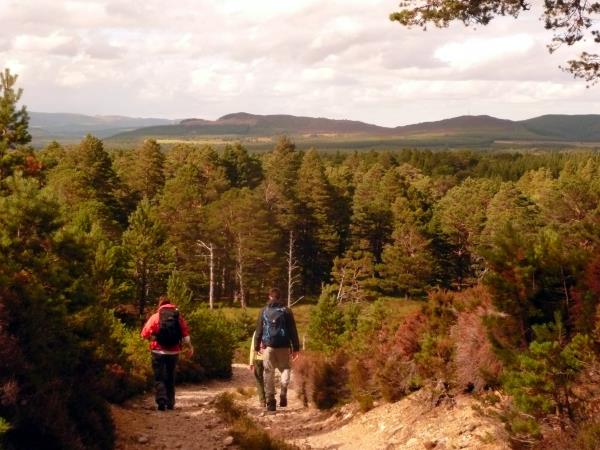 Walking vacations in Cairngorms