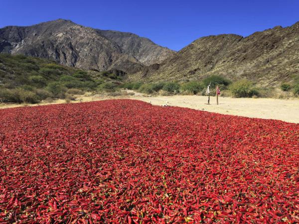 Argentina private tour with self drive