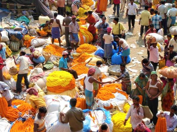 Bengal and Bhutan guided tour