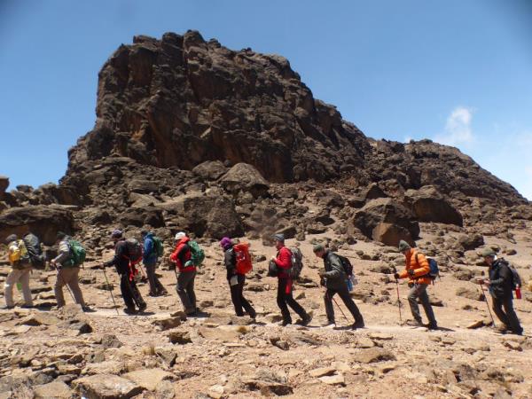 Private tailor made Kilimanjaro climb and safari