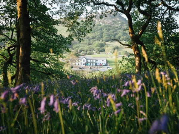 North Wales guided mountain biking vacation