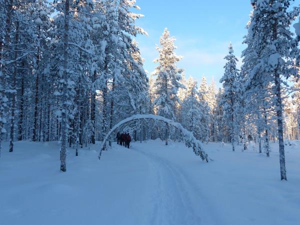 Finland activity vacation and Northern Lights
