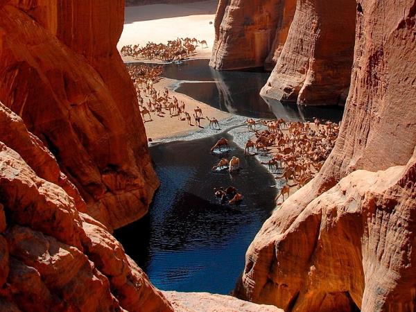 Chad vacation, Ennedi Explorer