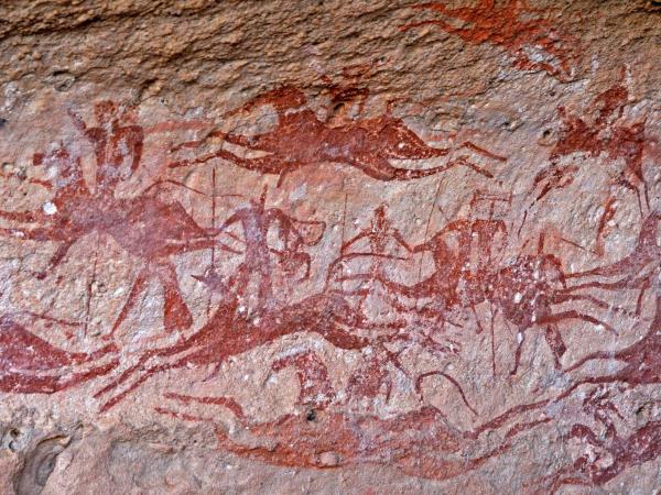 Chad vacation, Ennedi Explorer