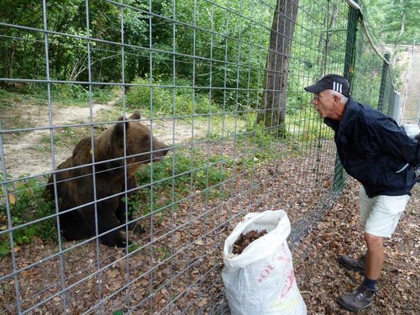 Family volunteering with bears in Romania
