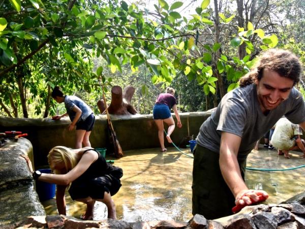 Elephant refuge volunteering in Thailand
