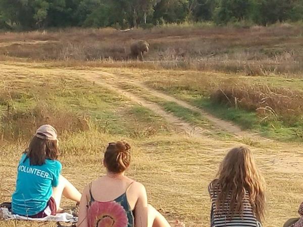 Family volunteering with elephants in Sri Lanka