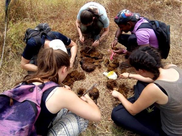 Family volunteering with elephants in Sri Lanka