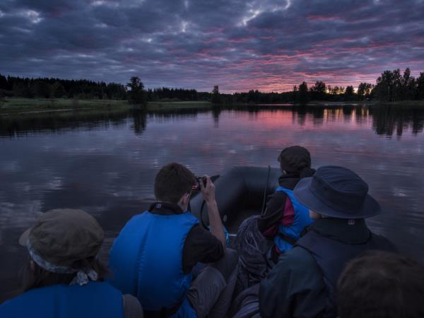 Sweden vacations, Wolves, Moose and Beavers