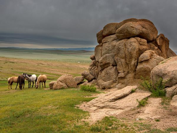 North Mongolia holidays, tailor made