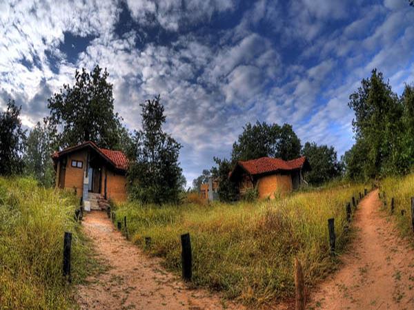 Kanha and Pench NP tour in India