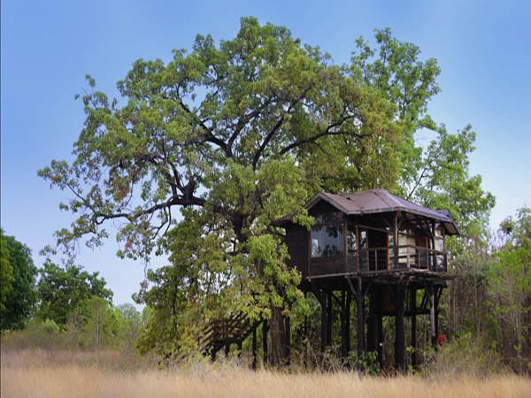 Kanha and Pench NP tour in India