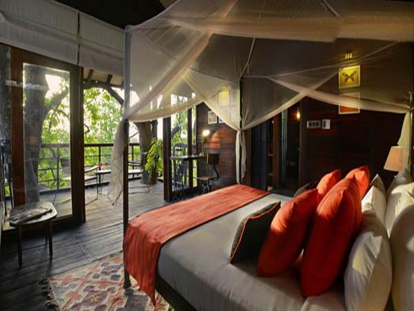 Kanha and Pench NP tour in India