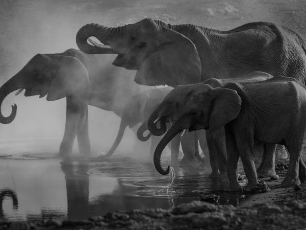Namibia tailor made safari vacations