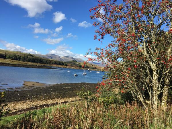 Scotland tour and cruise