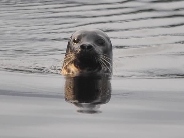 Scotland tour and cruise