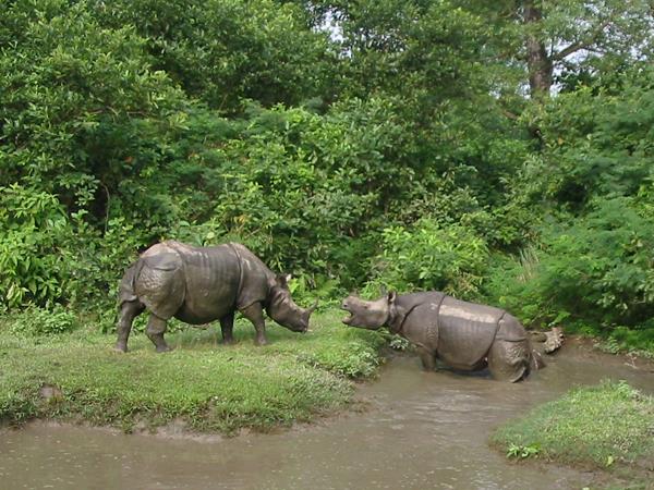 World Heritage sites in Nepal tour, small group