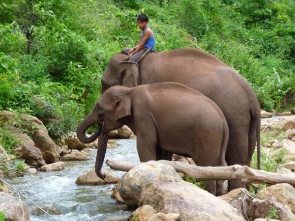 Myanmar highlights tour 