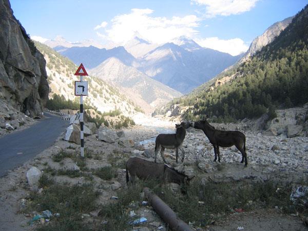 Nepal Dolpo trek