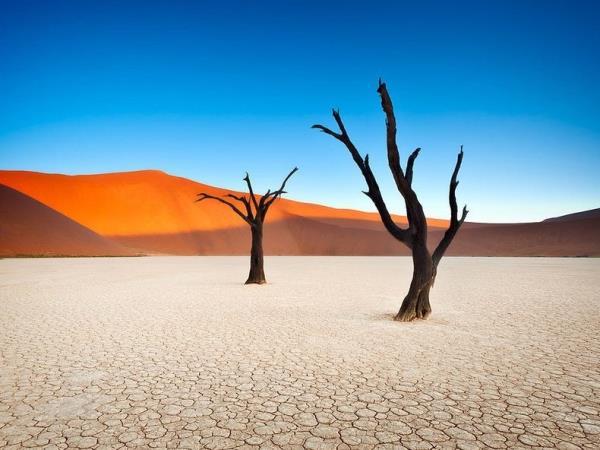 Wheelchair accessible Namibia self drive vacation