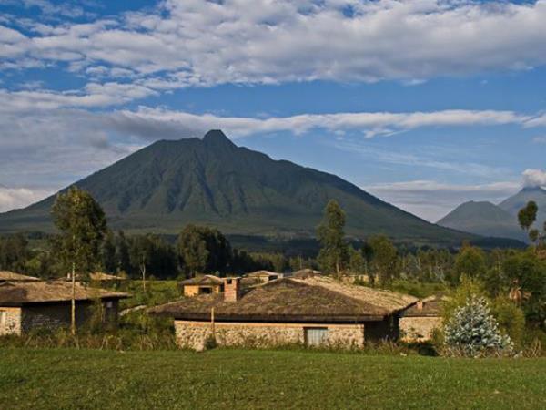 Wheelchair accessible gorilla tracking in Rwanda