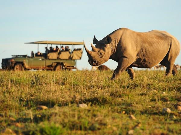 Wheelchair accessible South Africa self drive vacation
