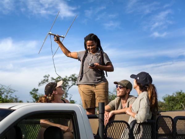 South Africa endangered wildlife conservation