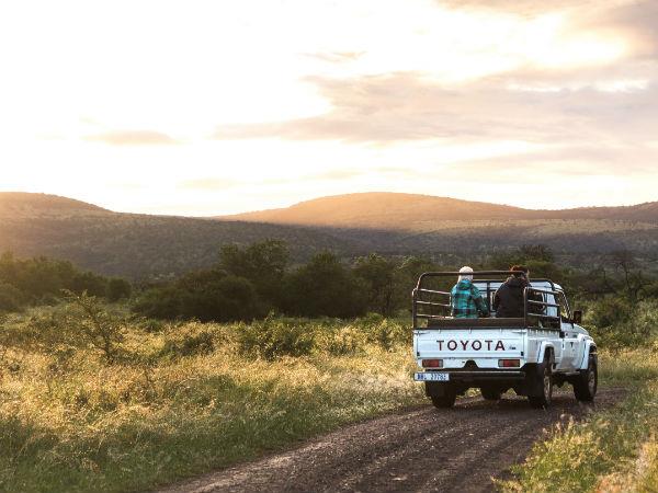 South Africa endangered wildlife conservation
