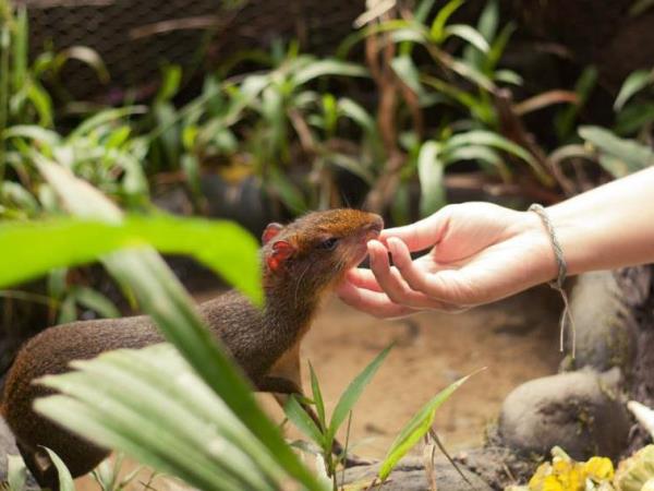 Ecuador wildlife sanctuary volunteering
