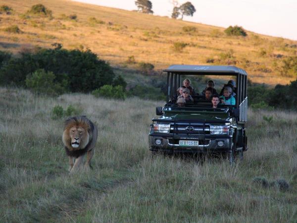 South Africa wildlife volunteering vacation