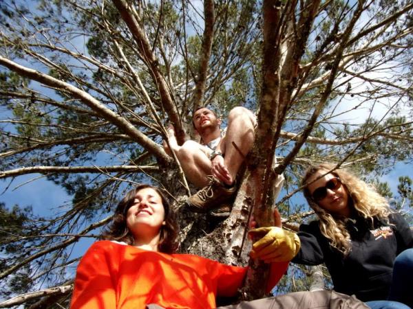 South Africa wildlife volunteering vacation