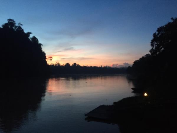 Wildlife conservation in Borneo