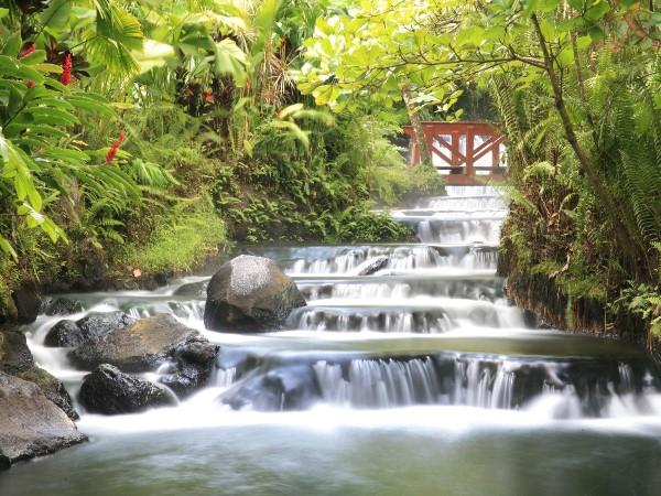Costa Rica self drive vacations