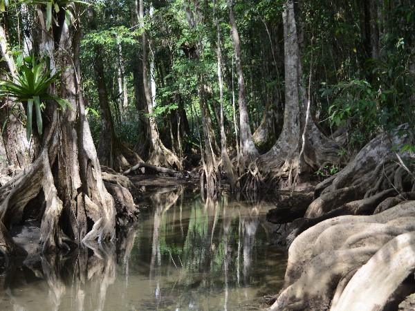 Costa Rica self drive vacations