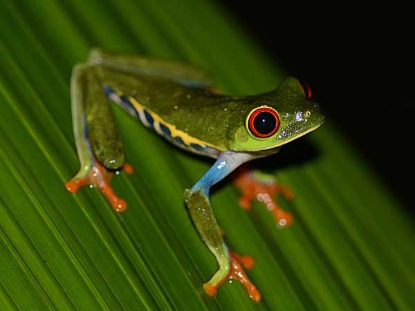 Costa Rica self drive vacations