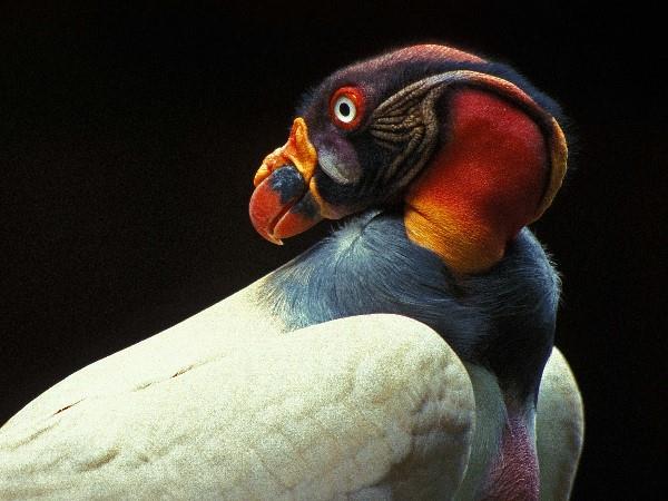 Costa Rica self drive vacations