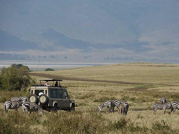 Northern Tanzania safari vacation