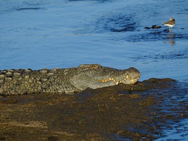 Tanzania off the beaten track safari
