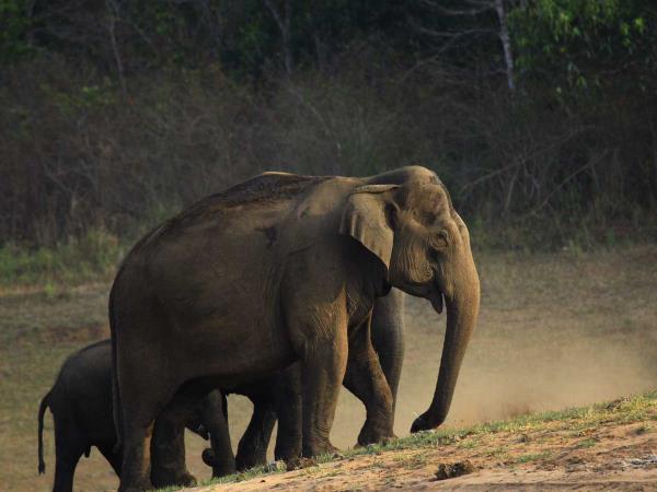 Southern India vacation, small group