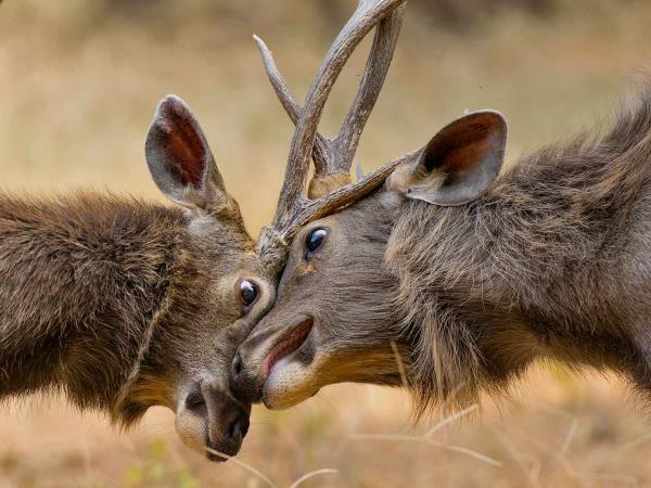 Northern India vacation, small group