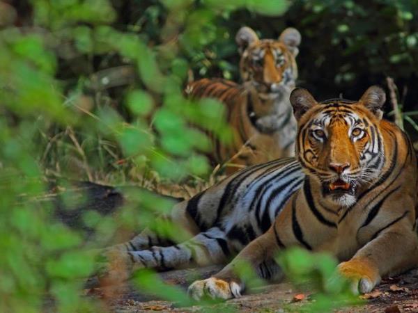 Northern India vacation, small group