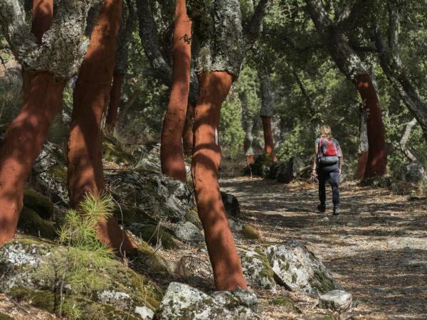 Alentejo walking vacation in Portugal